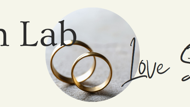 Gem Lab Love Stories- Love Bird Series